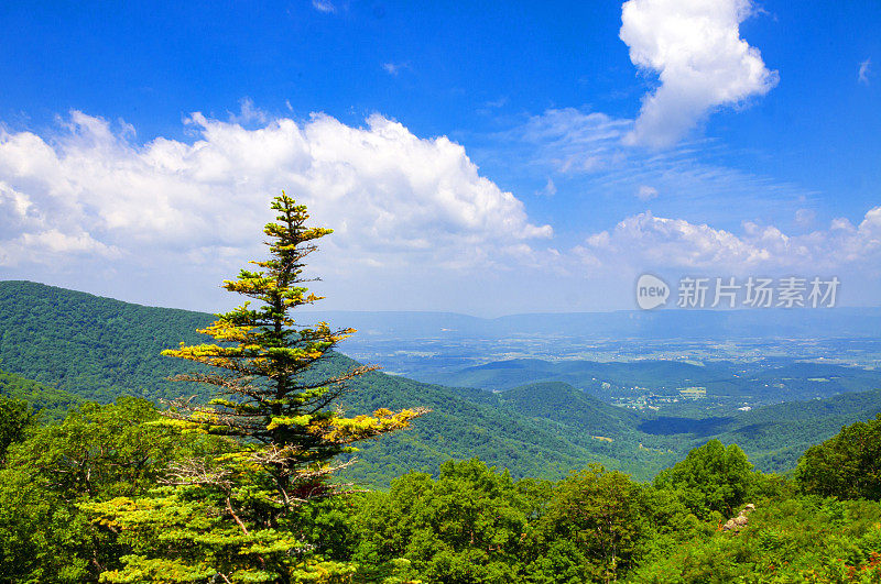 俯瞰Shenandoah Skyline Drive